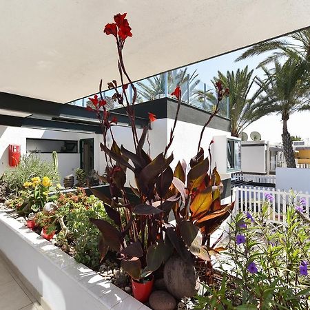 Maspalomas Beach Apartment Charca 1 Exterior foto